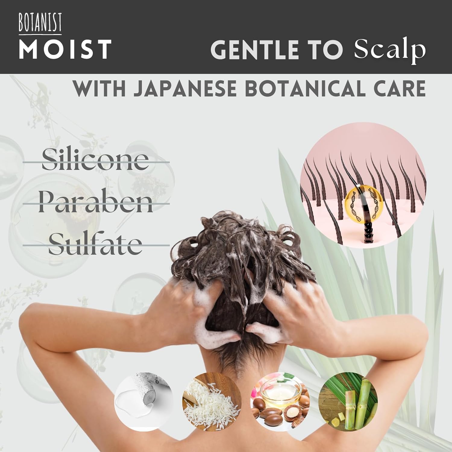 Natural Conditioner for Women, Organic Conditioner for Men with Planted-Protein, Rice Extract, Avocado Oil& Collagen, HYDRATING CONDITIONER from Japan, MOIST 16.2 Fl Oz APPLE & BERRY